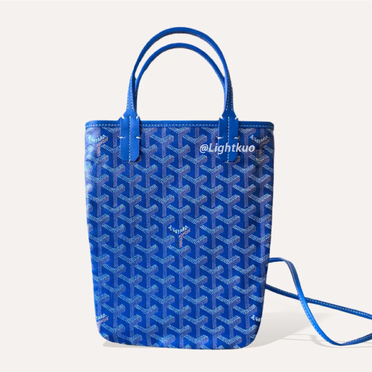 Poitiers bag goyard hotsell