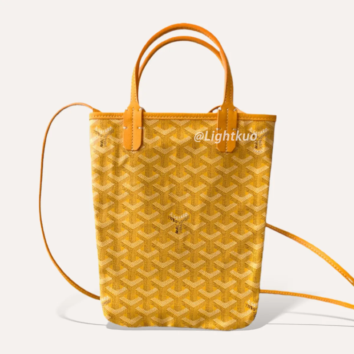 Goyard poitiers bag price hotsell